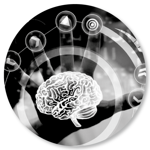 Cualificación de conductores